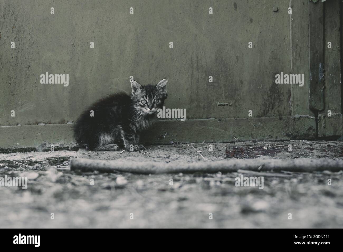 Close up charming caring hi res stock photography and images Alamy