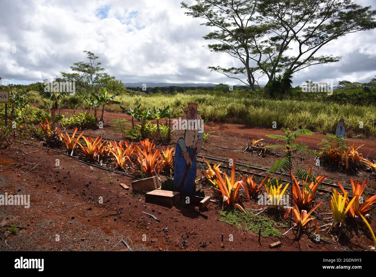 Oahu HI U.S.A. 6/3&6/2021. Dole Plantation. Gardens. Pineapple Express
