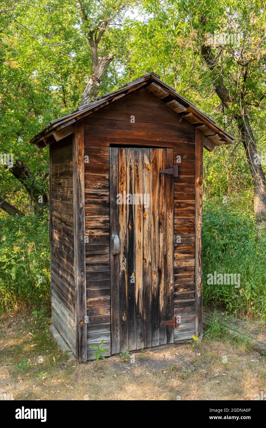 Old Wooden Outhouse In The Woods Stock Photo