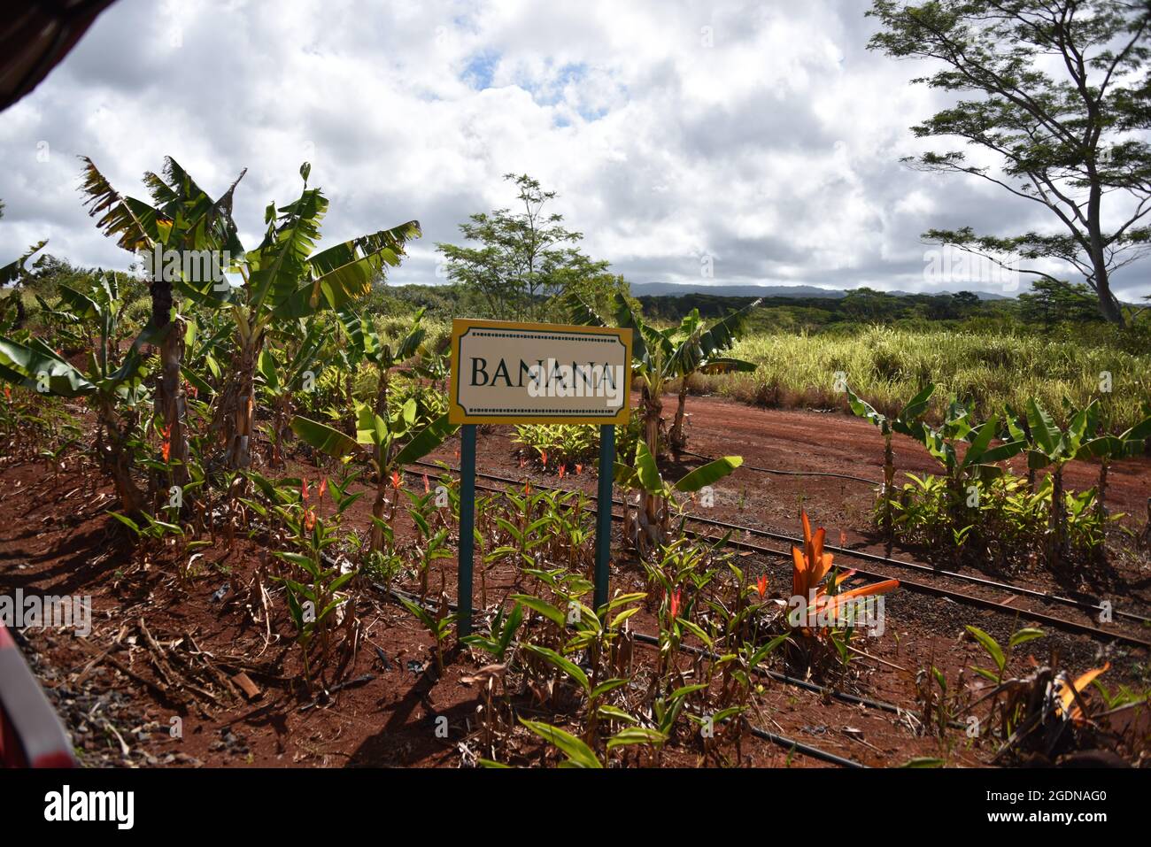 Oahu HI U.S.A. 6/3&6/2021. Dole Plantation. Gardens. Pineapple Express