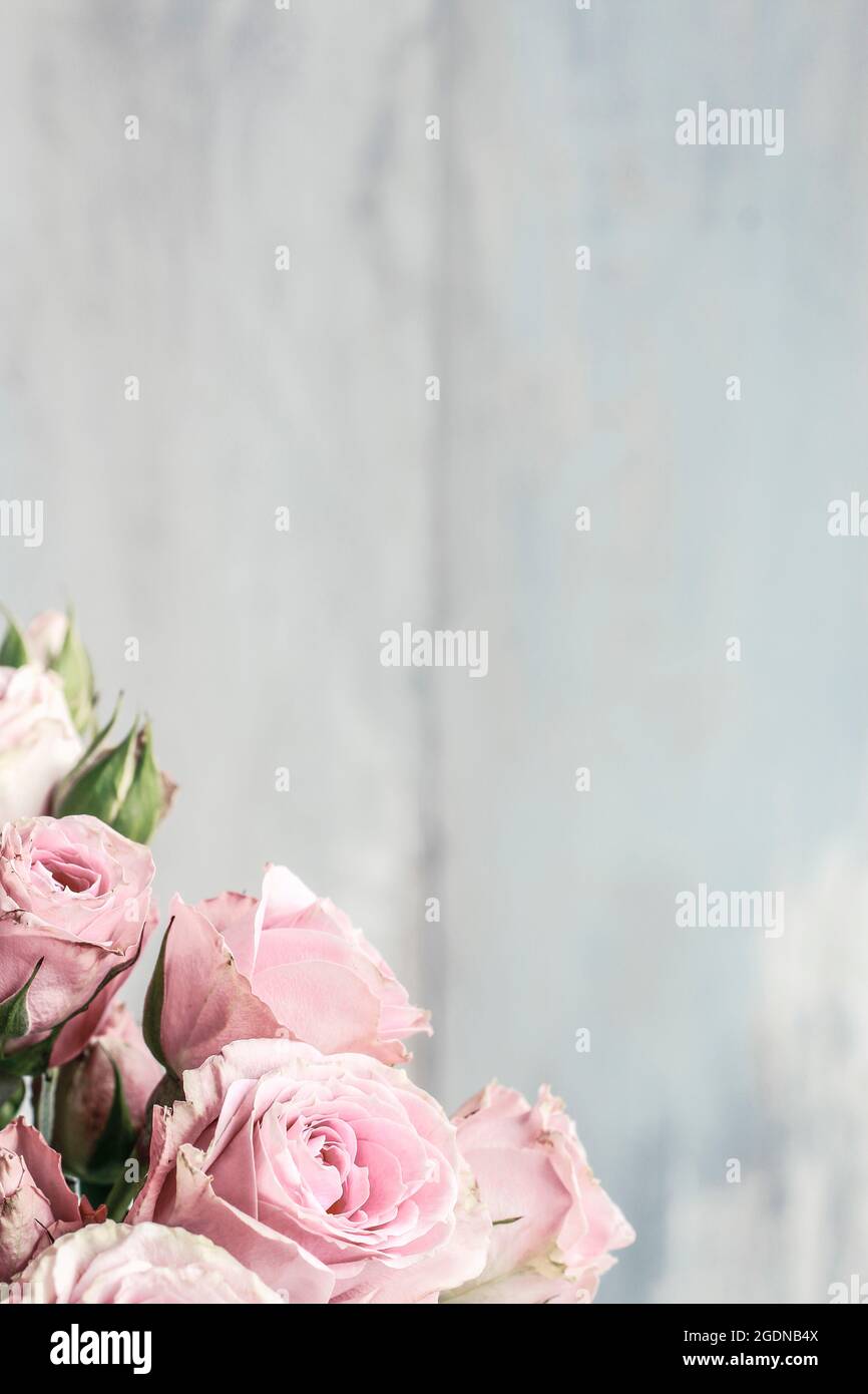 Bouquet of pink roses in ceramic vase. Party decor Stock Photo - Alamy