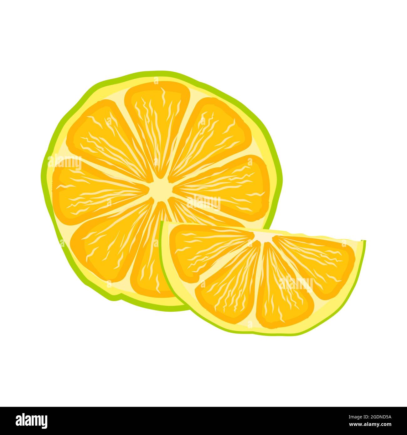Lemon slice icon isolated on white background. Fresh sour lime. Raw