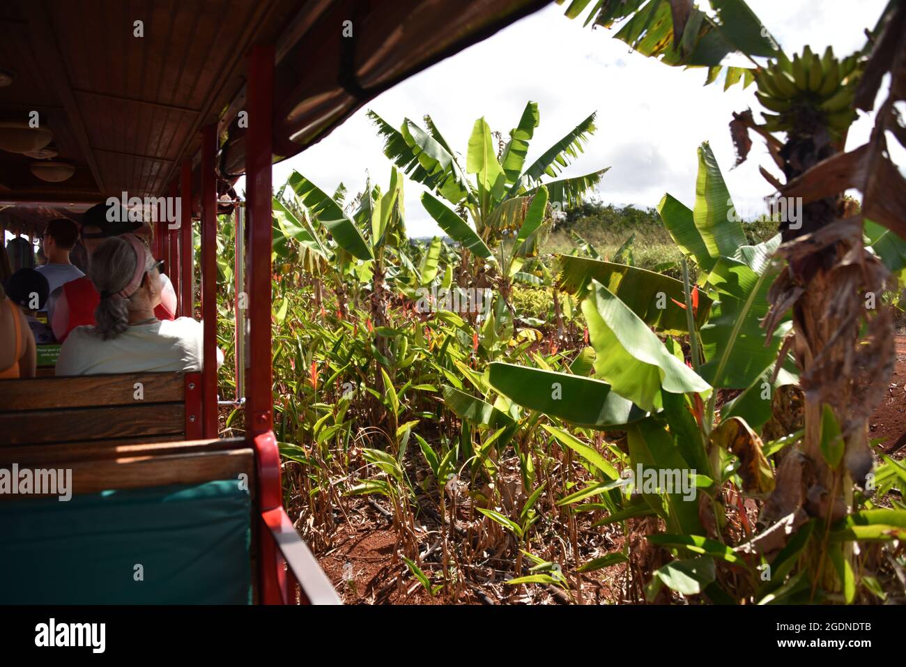 Oahu HI U.S.A. 6/3&6/2021. Dole Plantation. Gardens. Pineapple Express