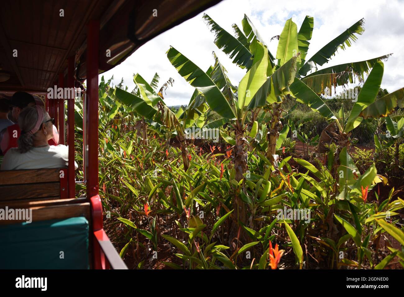 Oahu HI U.S.A. 6/3&6/2021. Dole Plantation. Gardens. Pineapple Express