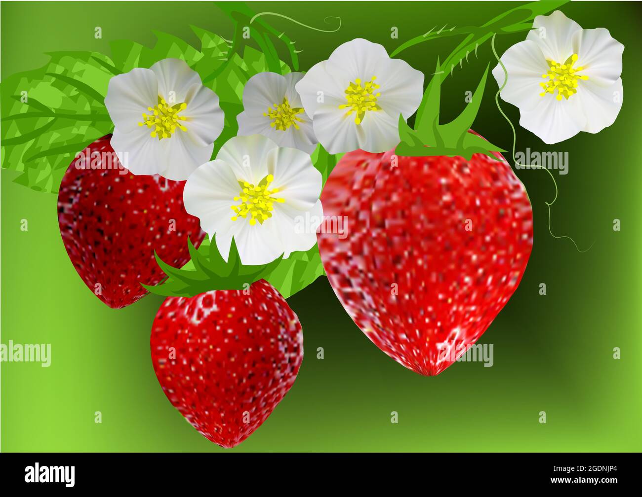 strawberry vector illustration on green background Stock Vector