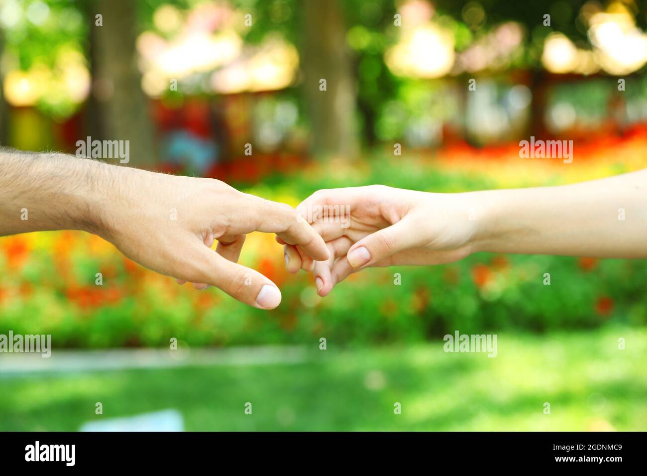 Two hands over green nature park Stock Photo - Alamy