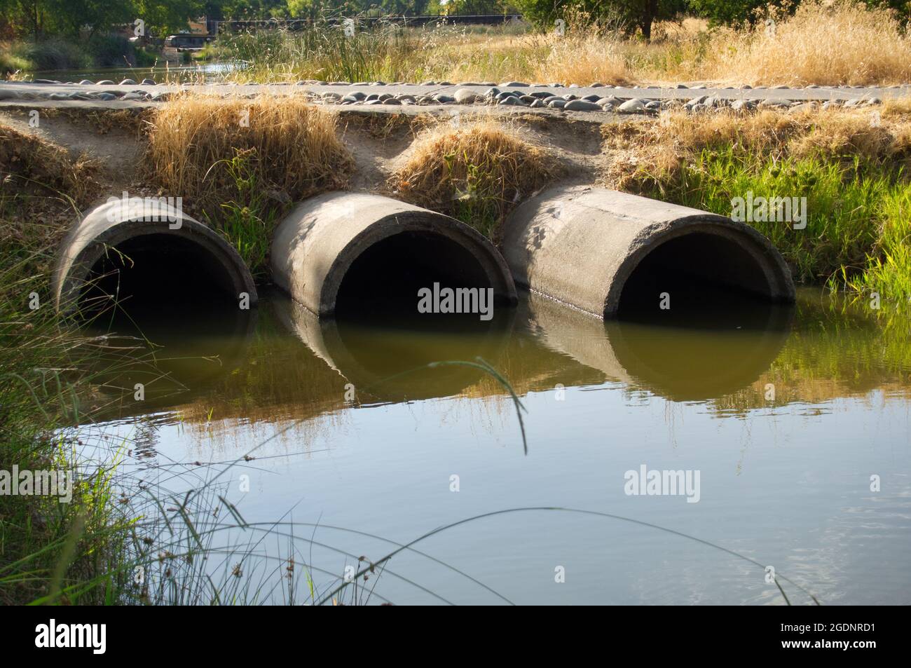 Shot of the three old sewer pipes next to each other part in the water Stock Photo Alamy