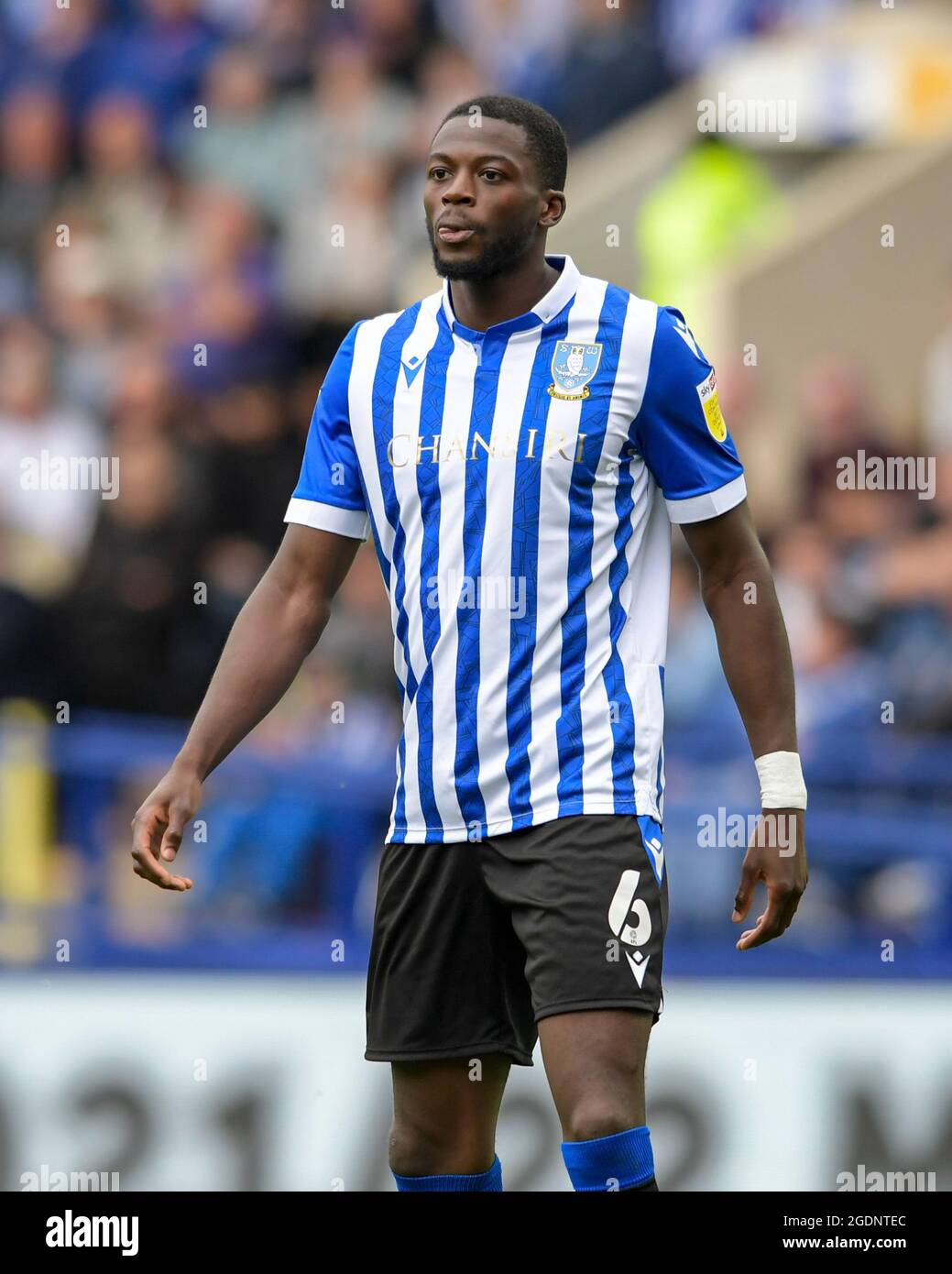 Dominic iorfa outlet