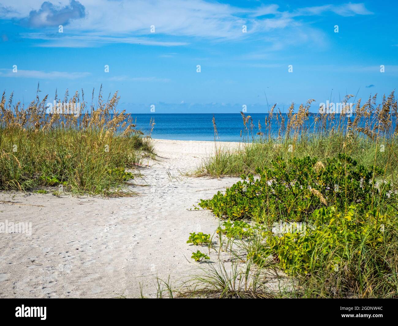 Path to Nokomis Beach in Southwest Florida on the Gulf of Mexico in Nokomis Florida USA Stock Photo