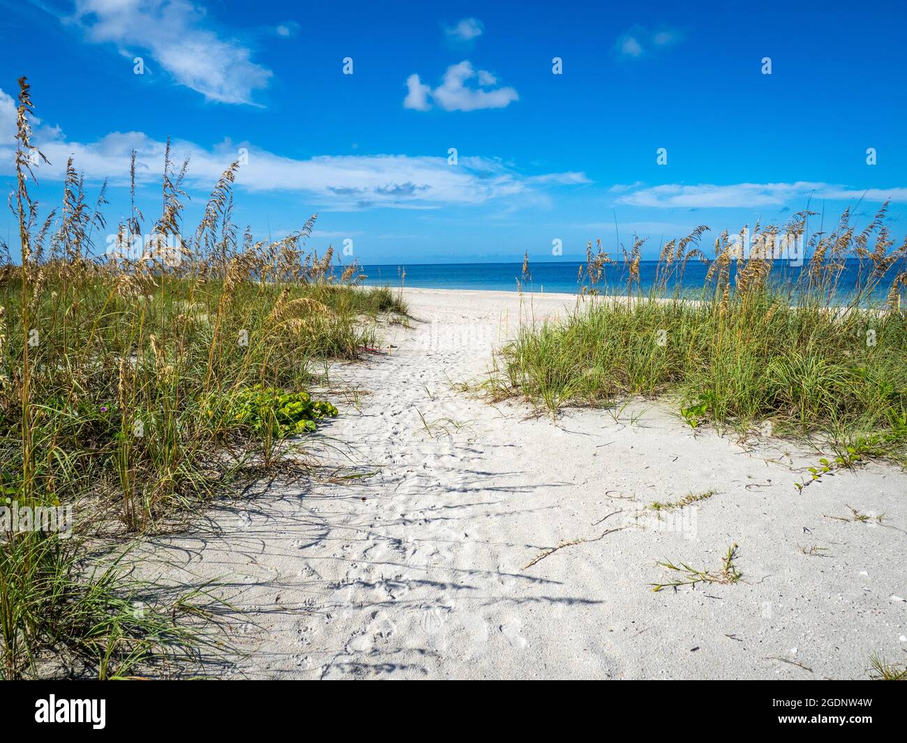 Path to Nokomis Beach in Southwest Florida on the Gulf of Mexico in Nokomis Florida USA Stock Photo