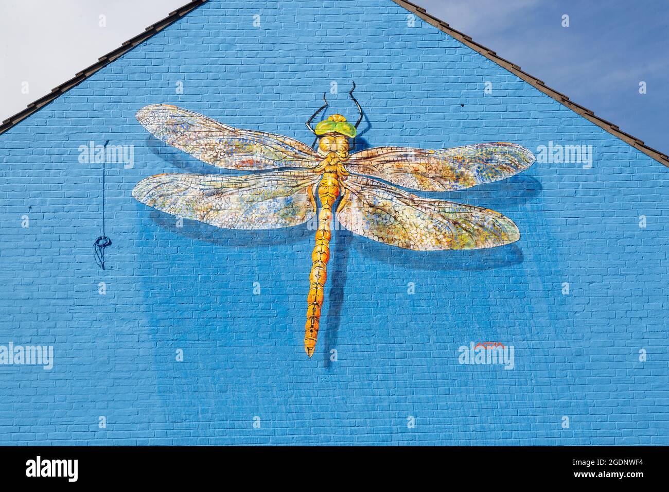 ATM - Norfolk Hawker Dragonfly mural in Lowestoft, Suffolk Stock Photo