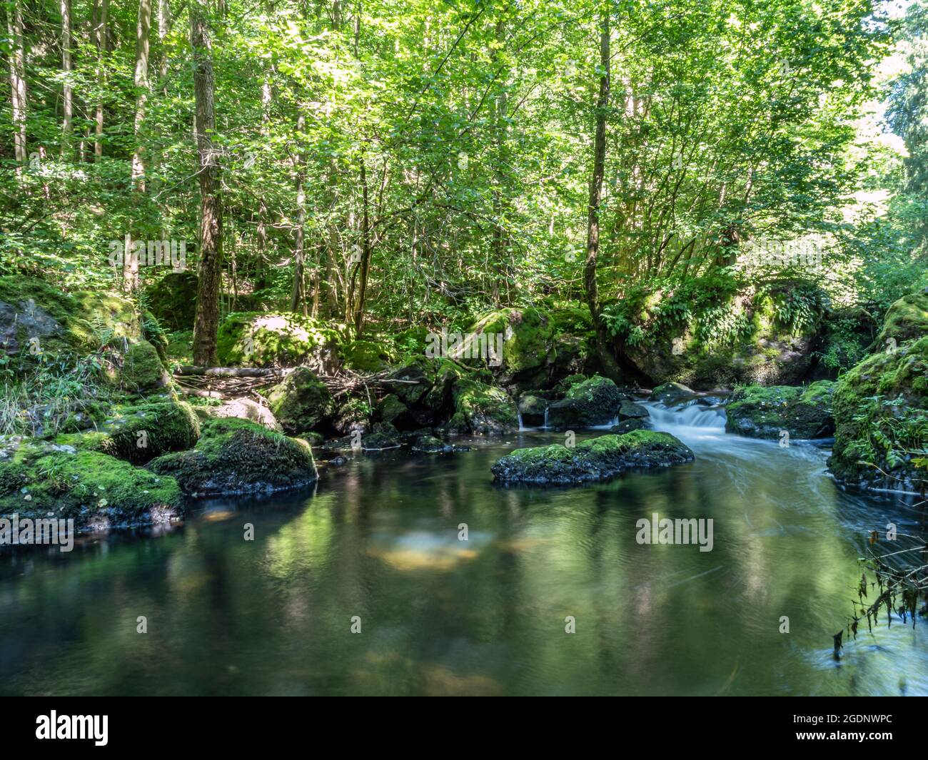 River in Vogtland in the nature park Stock Photo