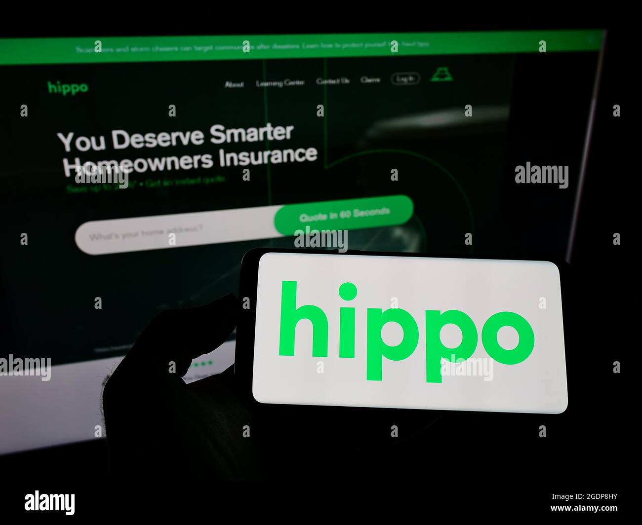 Person holding smartphone with logo of US insurance company Hippo