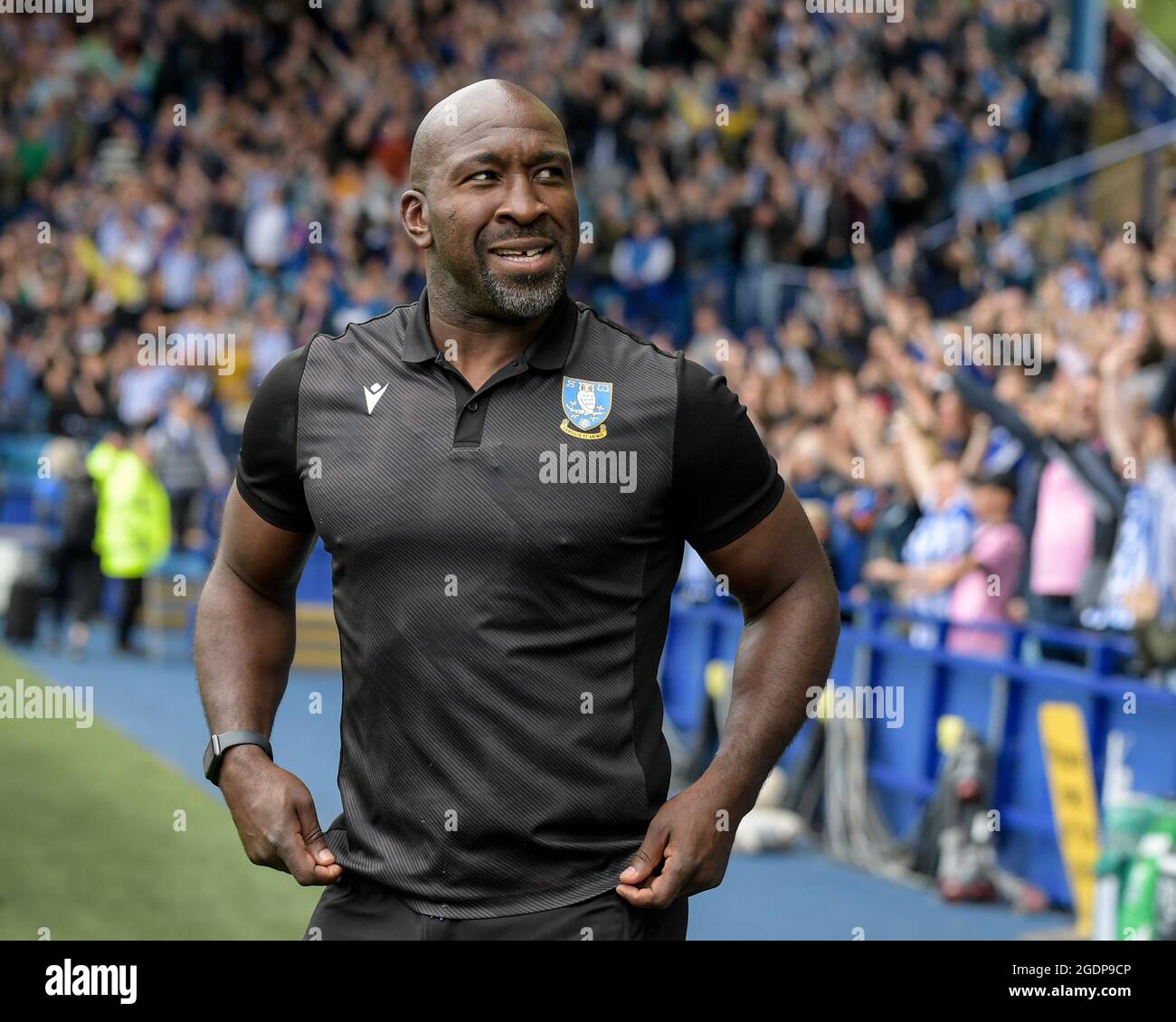 Darren Moore manager of Sheffield Wednesday in action Stock Photo - Alamy