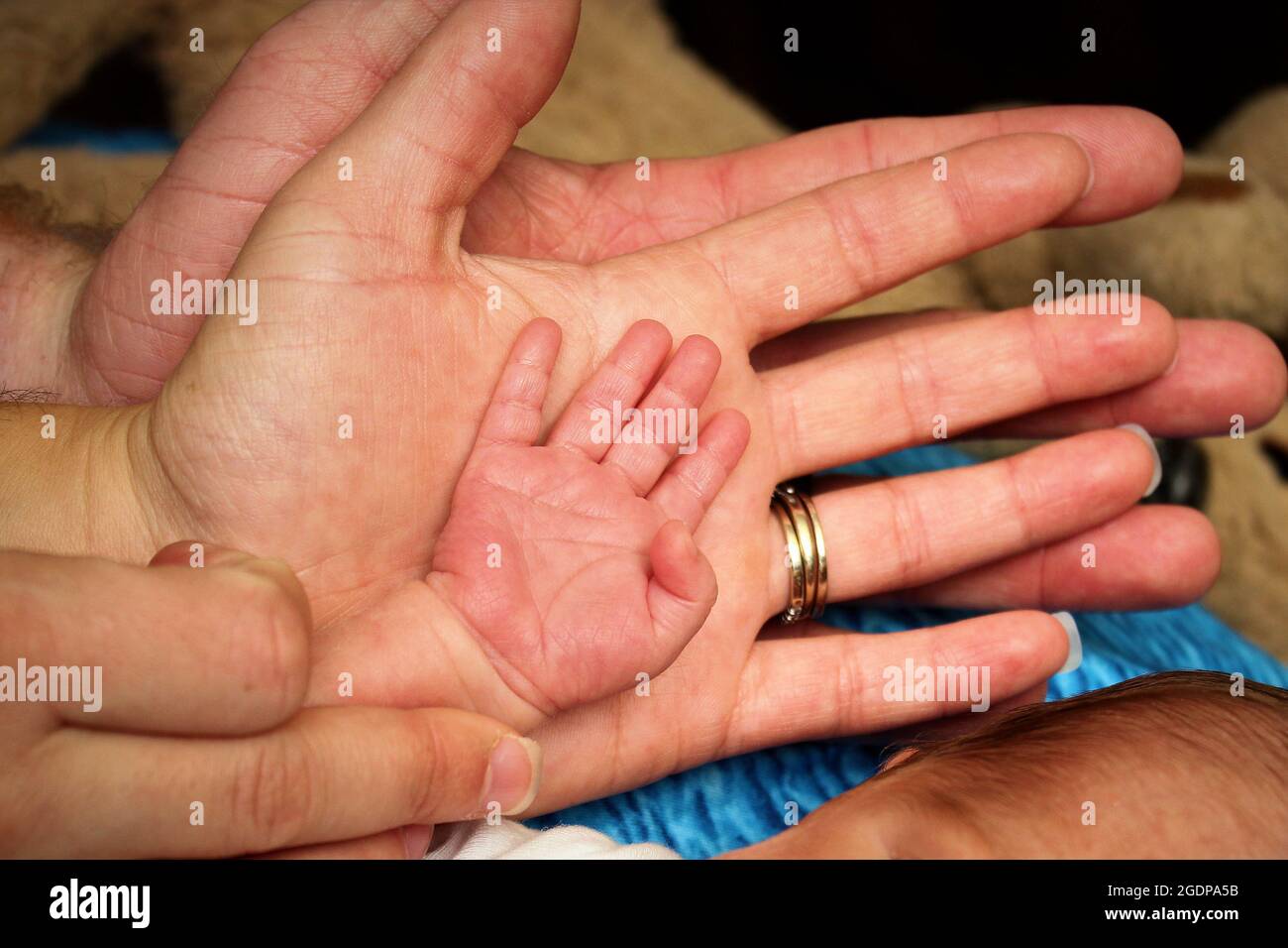 Dad, Mom, and baby hands showing the parents holding the hand that they will guide thru life Stock Photo