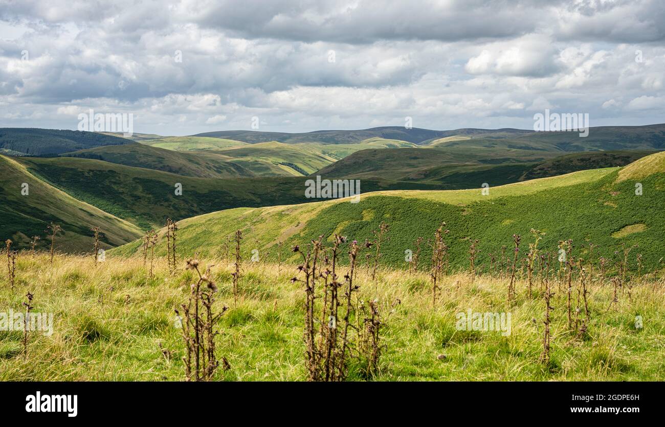 View of the Cheviot Hills in Northumberland National Park. Looking north from Clennell Street towards Kidland forest and the Scottish border Stock Photo
