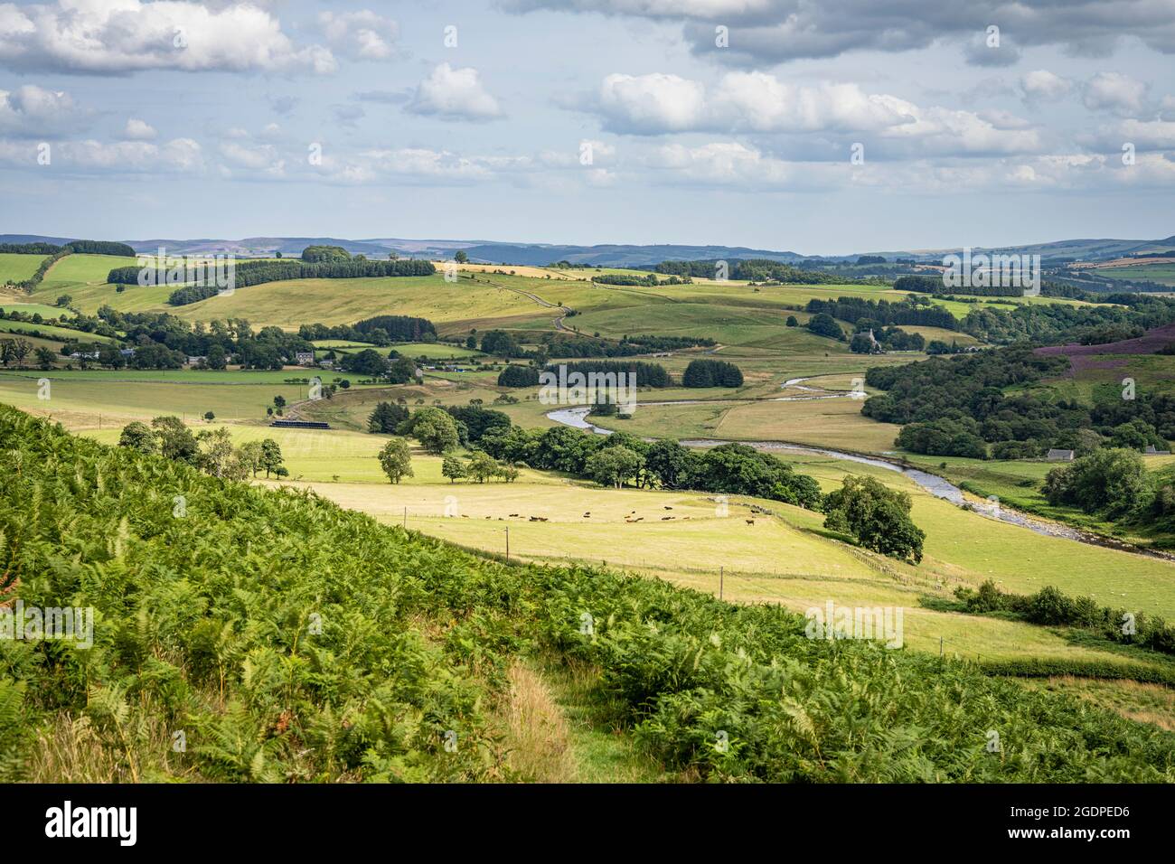 Northumberland national park hi-res stock photography and images - Alamy