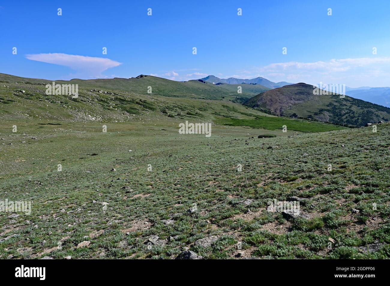 Tundra above tree line hi-res stock photography and images - Alamy