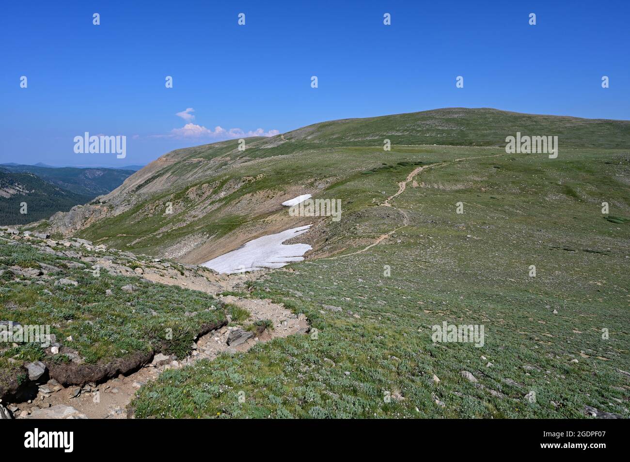 Alpine tundra above tree line on High Lonesome Trail in Indian Peaks ...