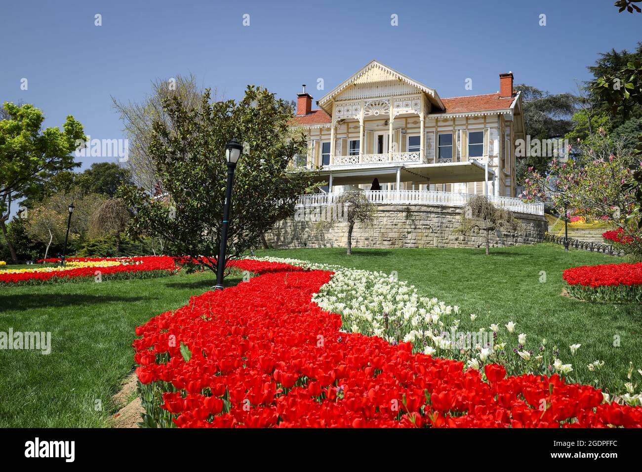 Colorful Tulips in Emirgan Park, Istanbul City, Turkey Stock Photo Alamy