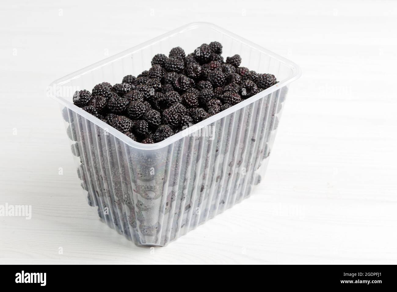 BOX THE ORIGINAL Dark Raspberry Small main image 0