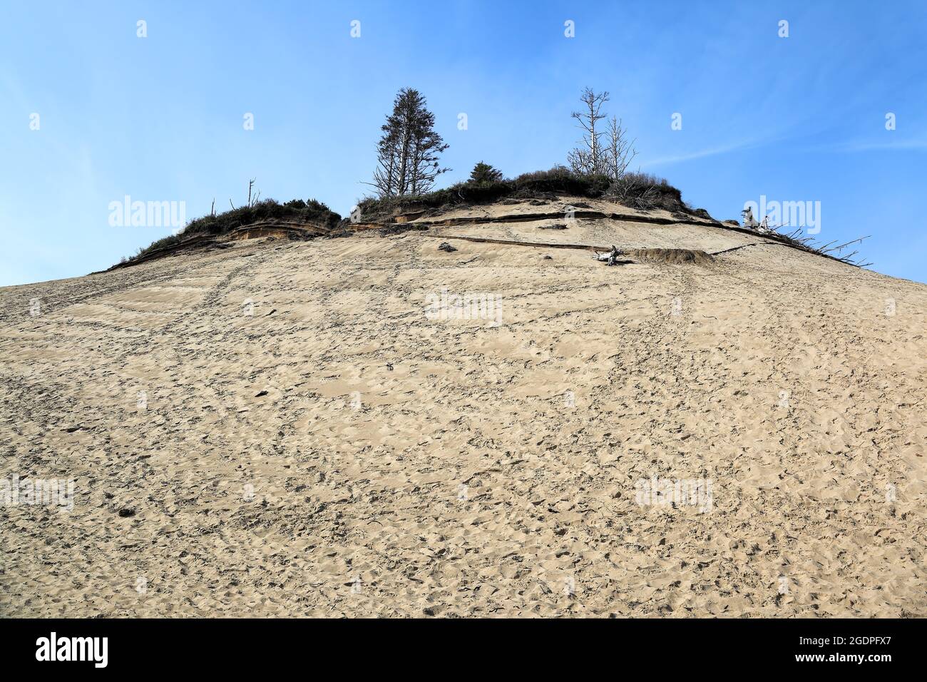 Along the Oregon Coast: The  very top of the sand dunes at Cape Kiwanda state natural area, one of the three stops along the three capes scenic route Stock Photo