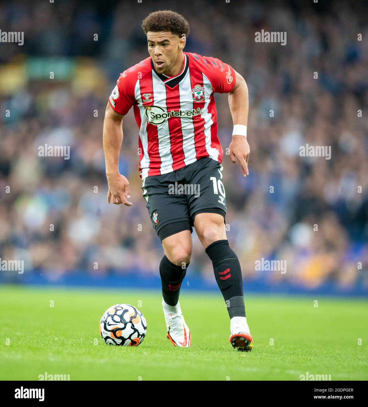 Che adams southampton fc hi-res stock photography and images - Alamy