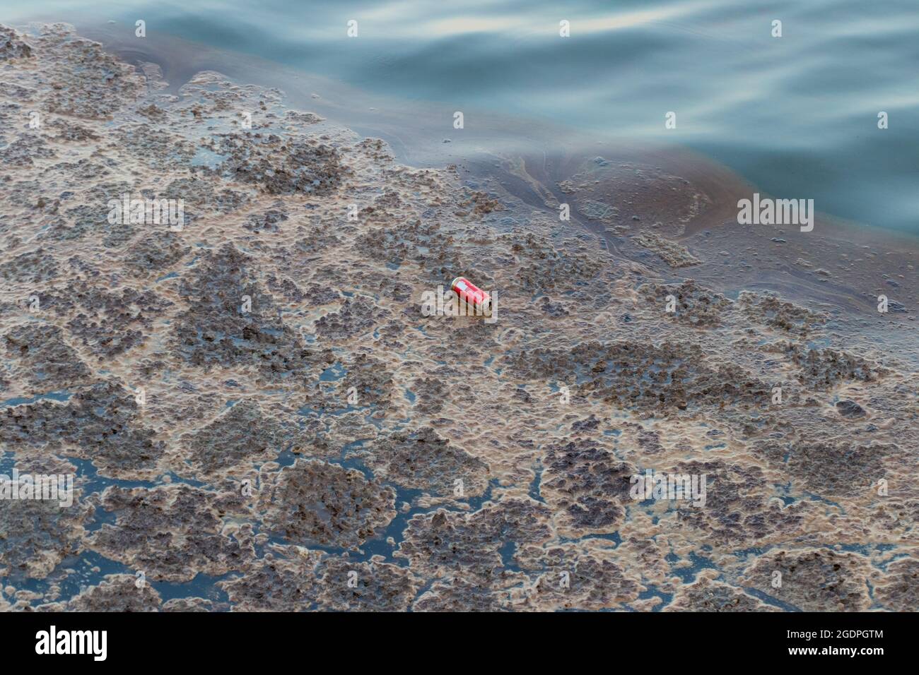 Mucilage on the Caspian sea surface. Environmental problem of environmental pollution. Stock Photo