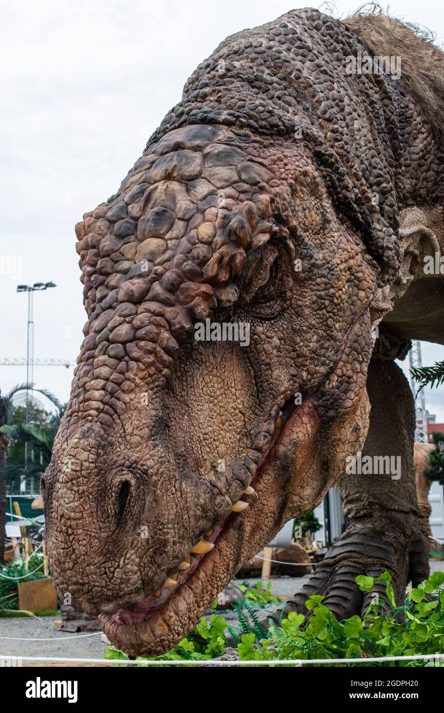 Mesozoikum High Resolution Stock Photography And Images Alamy