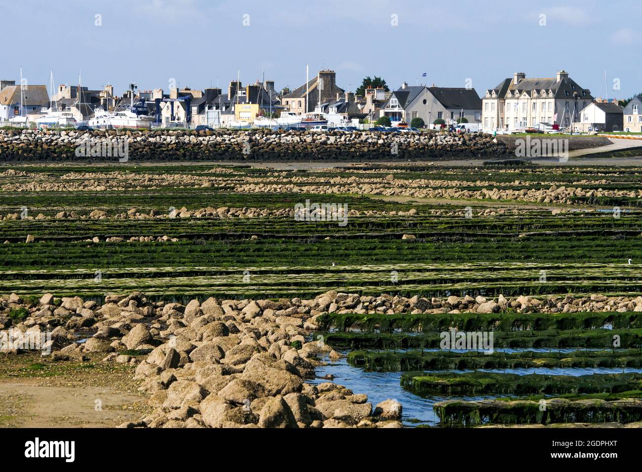 Oysters parks, SaintVaast la Hougue, Manche department, Cotentin