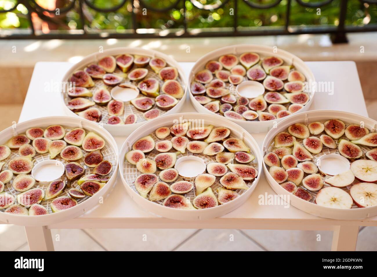 Process of drying sliced figs on white plates on the table on the