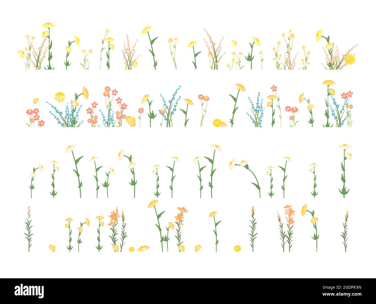 Set isolated. Meadow with wildflowers. Grass close-up. Wild green rural plants. Cartoon style. Flat design. Countryside view. Flowers. Vector Stock Vector