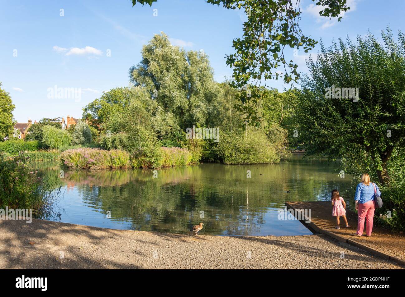 Barnes Pond on Green, Church Road, Barnes, London Borough of Richmond upon Thames, Greater London, England, United Kingdom Stock Photo