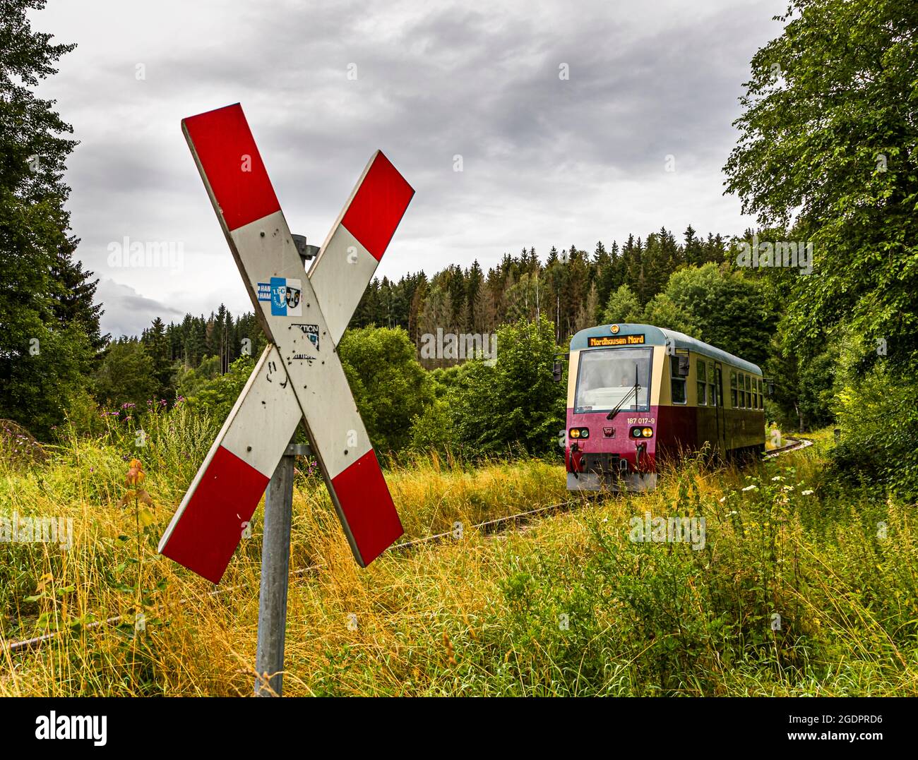 Harzer Schmalspurbahn (Harz narrow gauge railroad) in Sorge, Germany Stock Photo