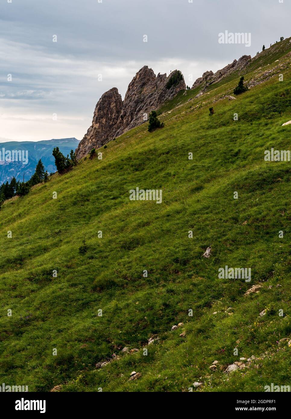 Steep mountain meadow with rock formations above Oberholz Hutte in Dolomites mountains in Italy Stock Photo