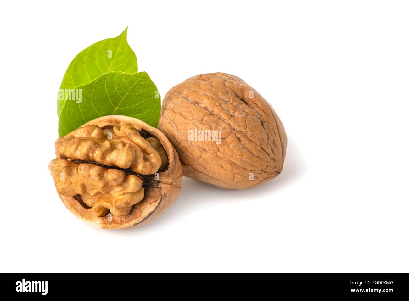 Walnut fruits lie on a white isolated background. Peeled walnut and green leaves with shadow. White isolate for design and project insertion Stock Photo