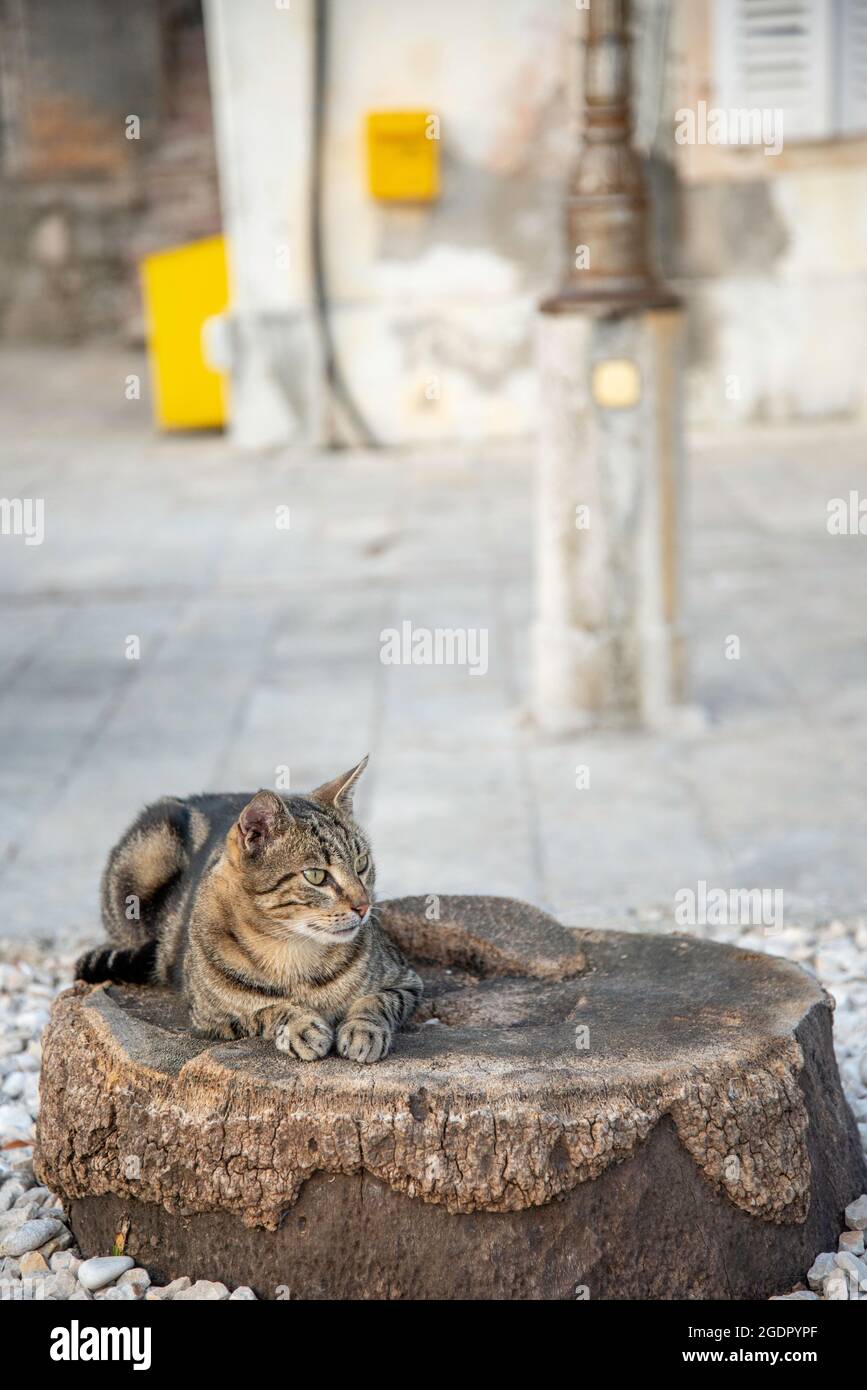 Peaceful eastern european location,a relaxed early evening scene in the late summer of the adriatic coast. Stock Photo
