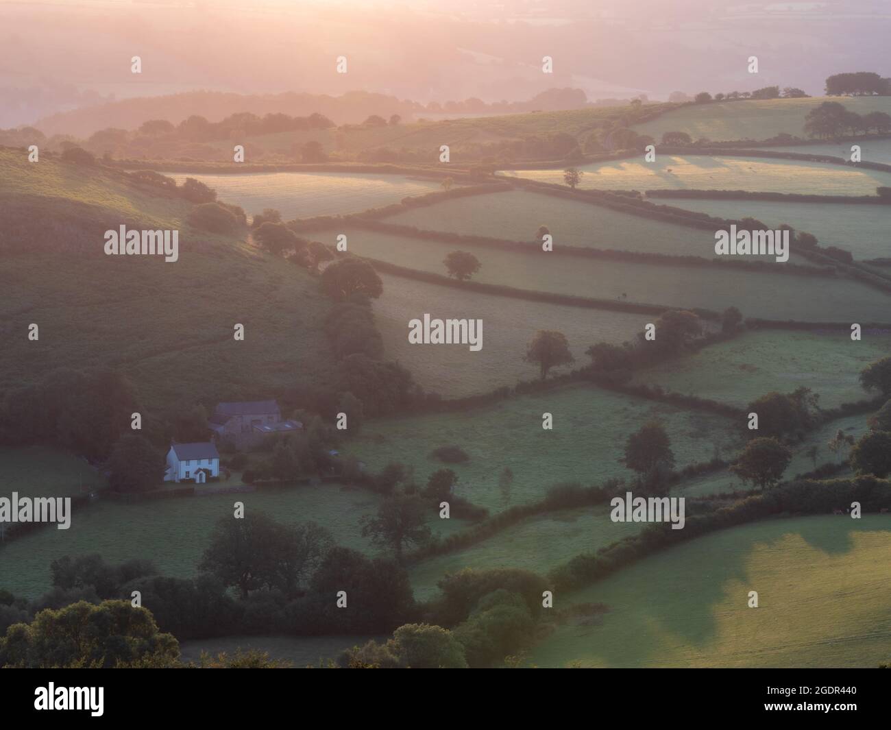 Sunrise on a misty morning over the rolling hills and farmland of Dartmoor Stock Photo