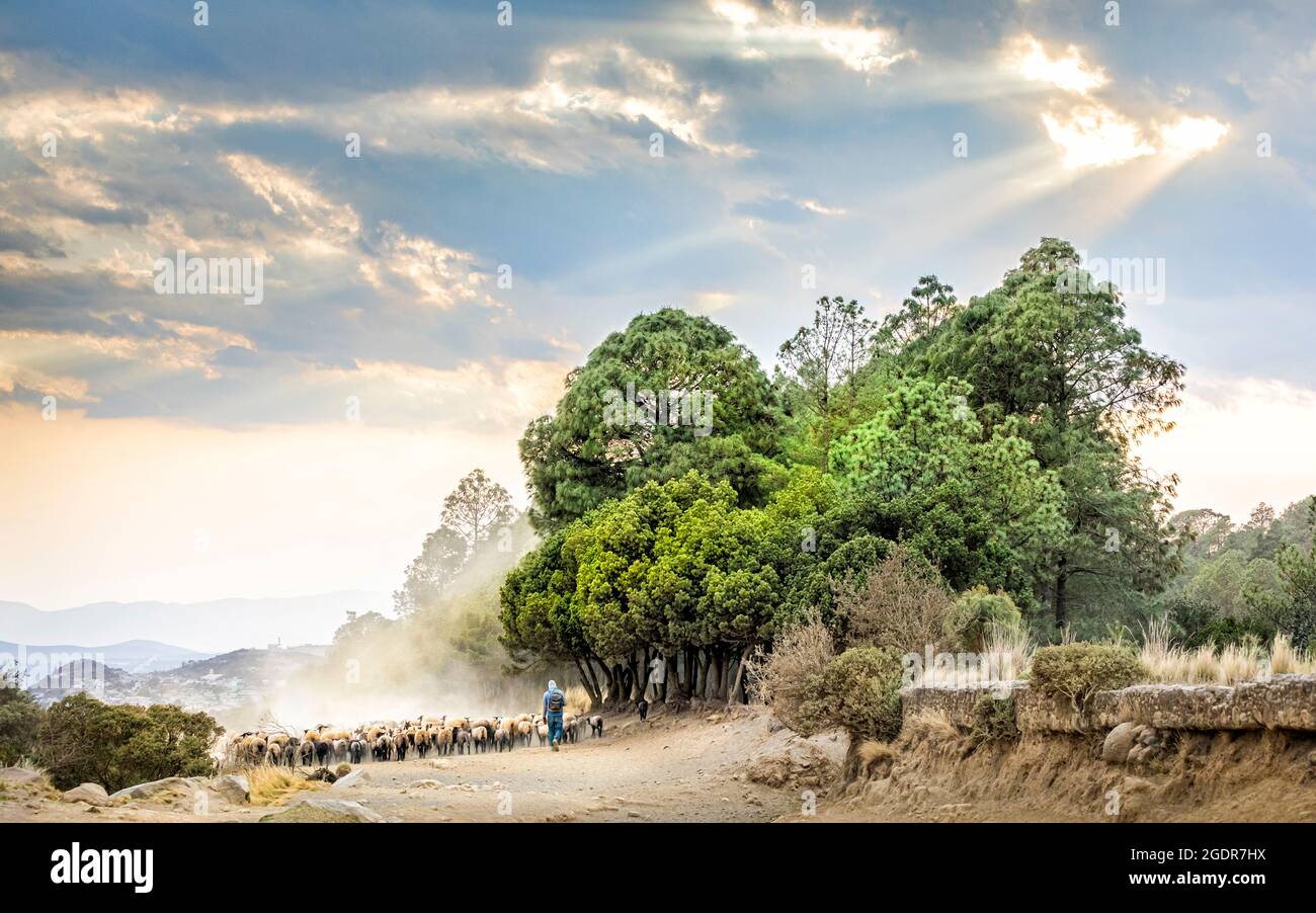 Goat herders at the end of the day near Atzitzintla, Puebla, Mexico. Stock Photo