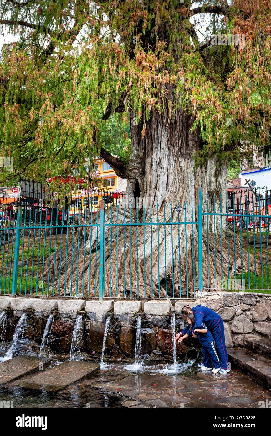 Mother and daughter touch the holy waters of the spring below the famed willow tree (Sp. Ahuehuete) in the popular pilgrimage destination of Chalma, M Stock Photo