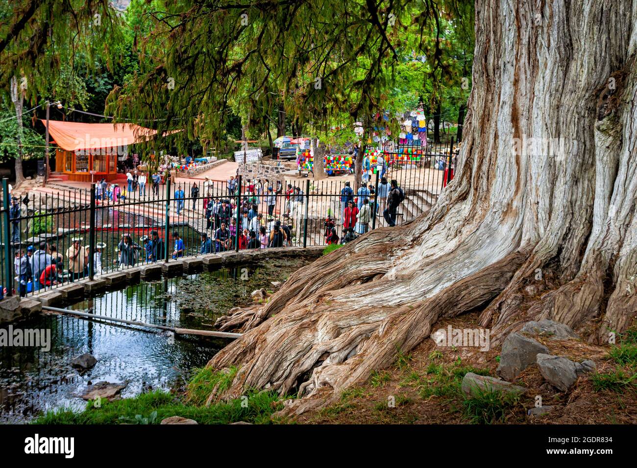 Pilgrims gather to touch the holy waters of the spring below the famed willow tree (Sp. Ahuehuete) in Chalma, Mexico. Stock Photo