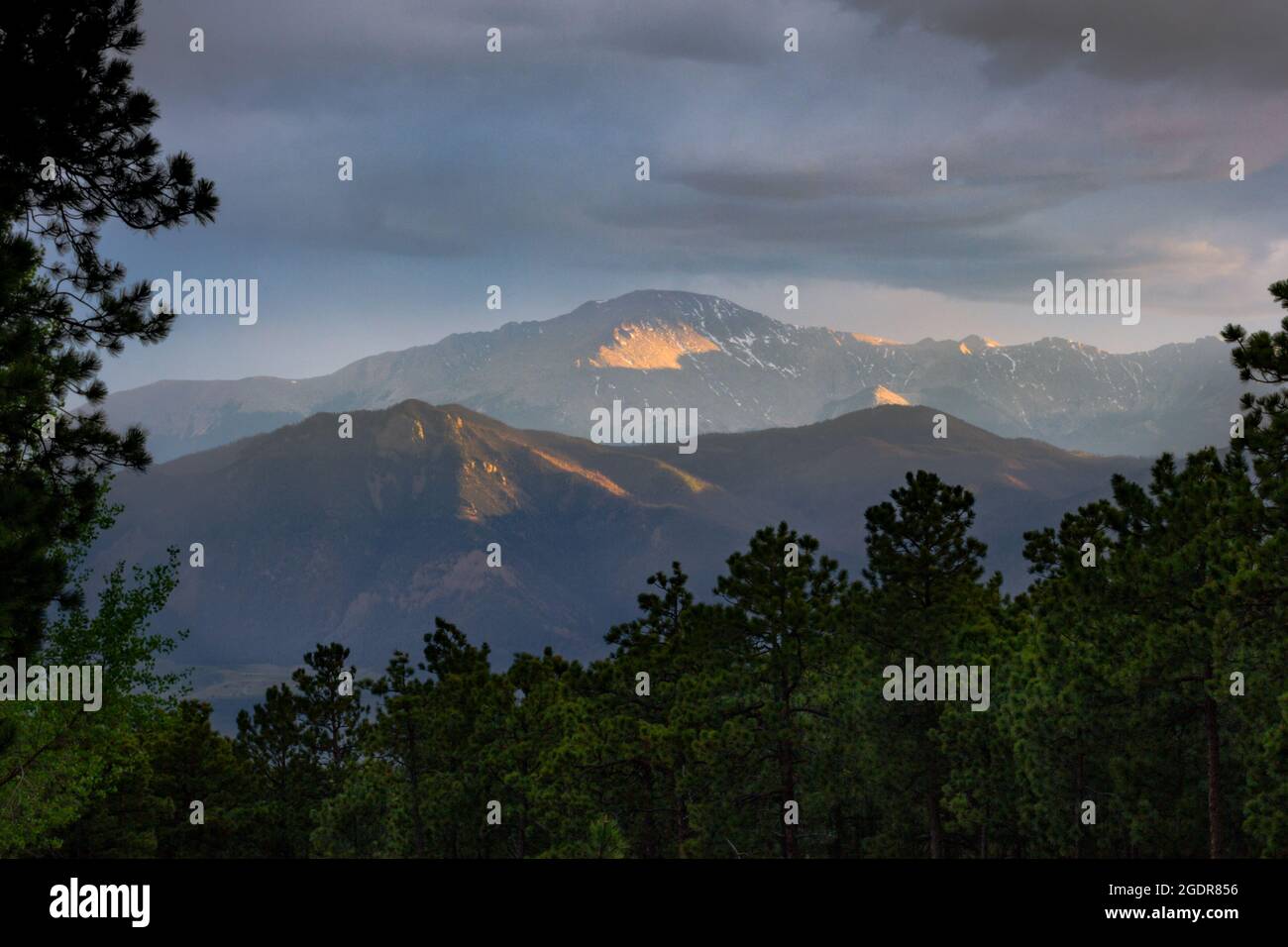 The last rays of the sun light up Pikes Peak over a pine forest in central Colorado Stock Photo
