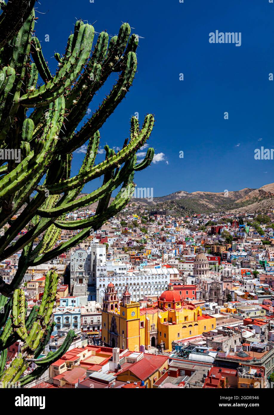 The cathedral and university in the historical downtown of colonial Guanajuato, Mexico. Stock Photo