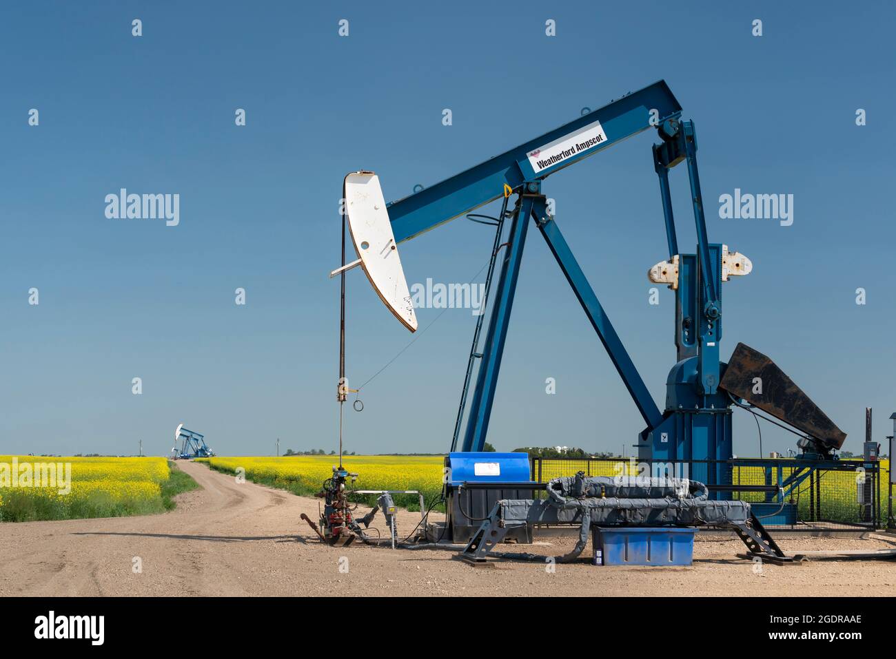 Oil pumpers in a field of yellow canola near Waskeda, Manitoba, Canada. Stock Photo