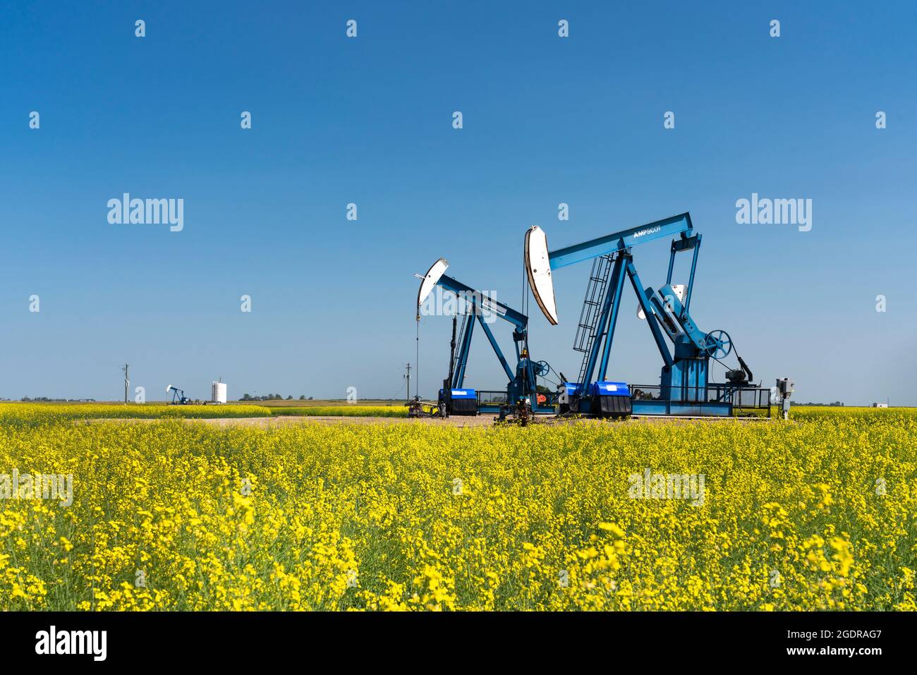 Oil pumpers in a field of yellow canola near Waskeda, Manitoba, Canada. Stock Photo