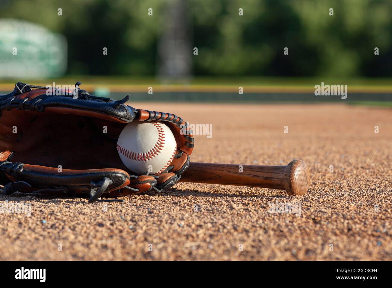 Brown bat hires stock photography and images Alamy