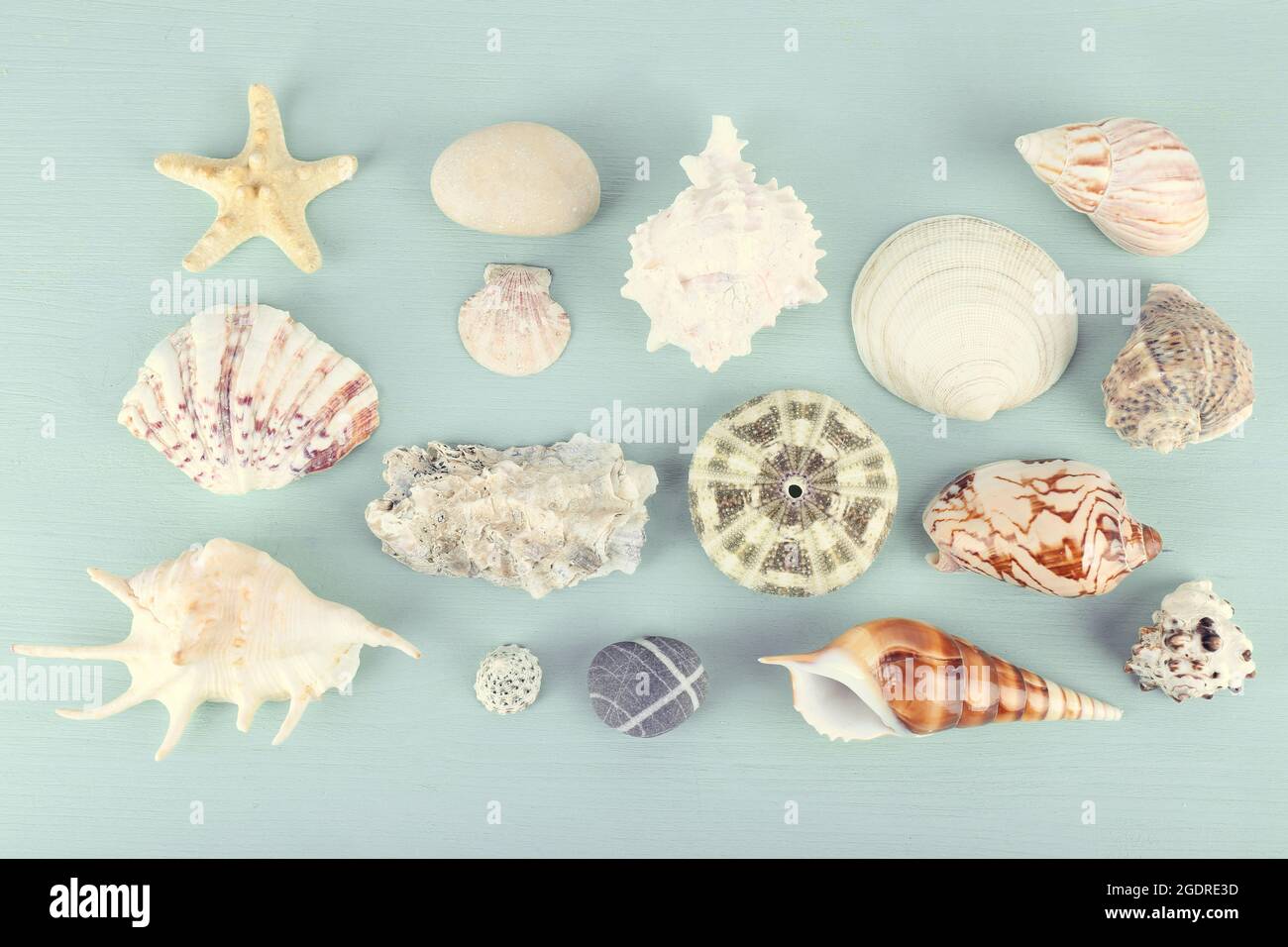 Sea souvenirs on light blue background Stock Photo - Alamy