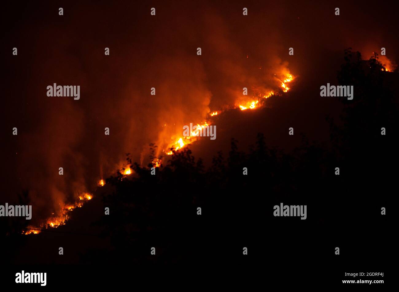 Night shot of summer wildfire on Italian hills Stock Photo