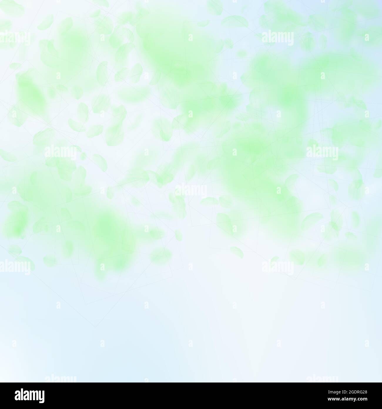 Flower Falling Gradient Green flower petals falling down. Extraordinary romantic flowers ...