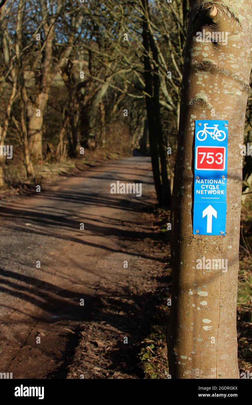 Tree markers on a tree hi-res stock photography and images - Alamy